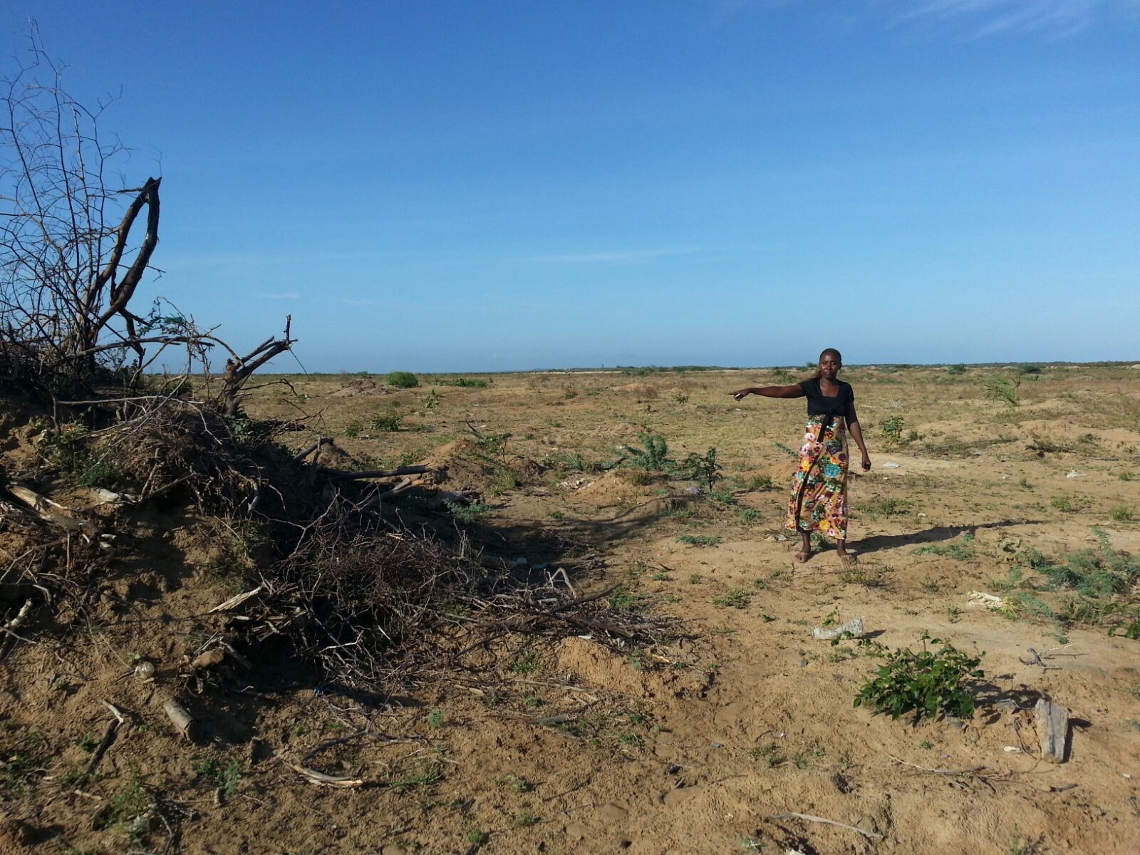 IMG-20150916-WA0008